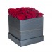 Box kocka ruže červené